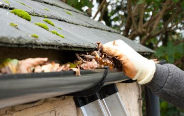 gutter cleaning Newsome, West Yorkshire